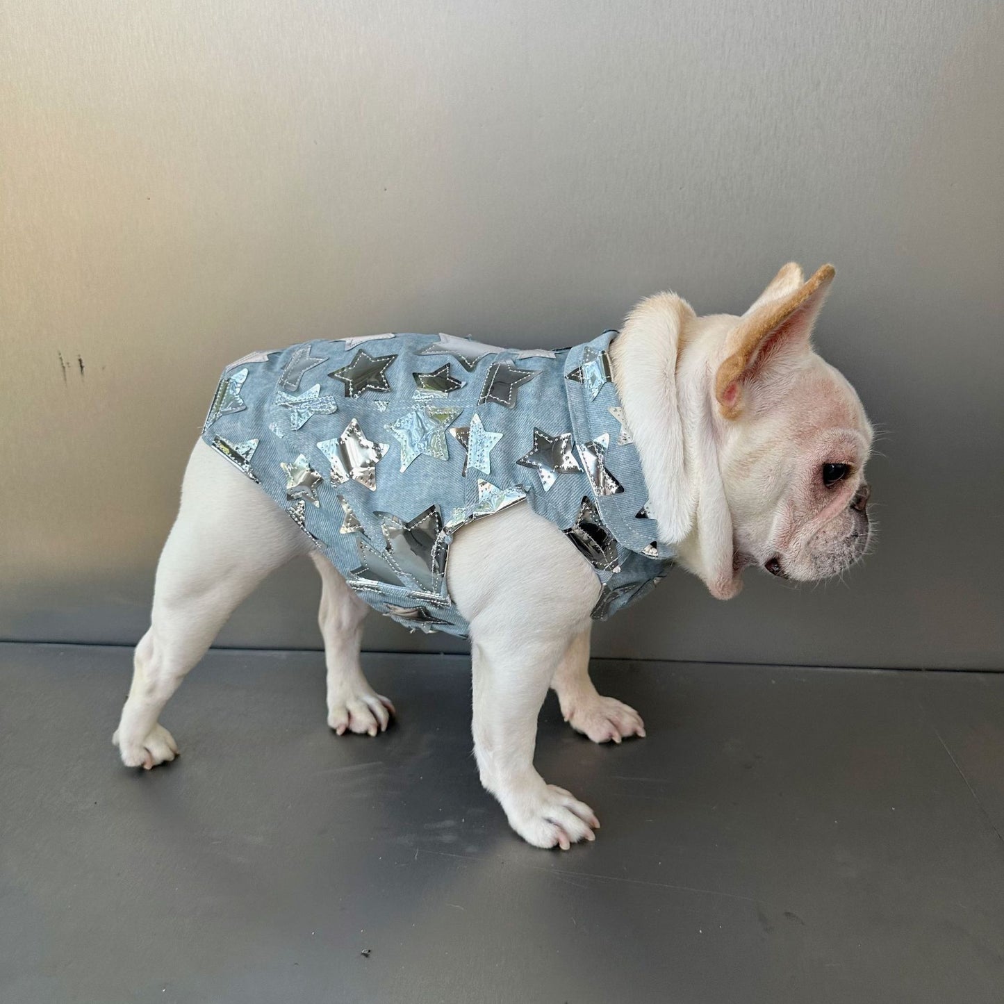 Pet Cat And Dog Summer Thin Denim Vest Jacket