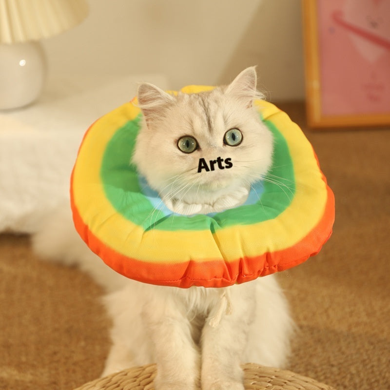 Ring Kitten Anti-licking Bite Shame Collar