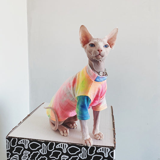 Hairless Cat Clothes Tie-dye Rainbow Primer