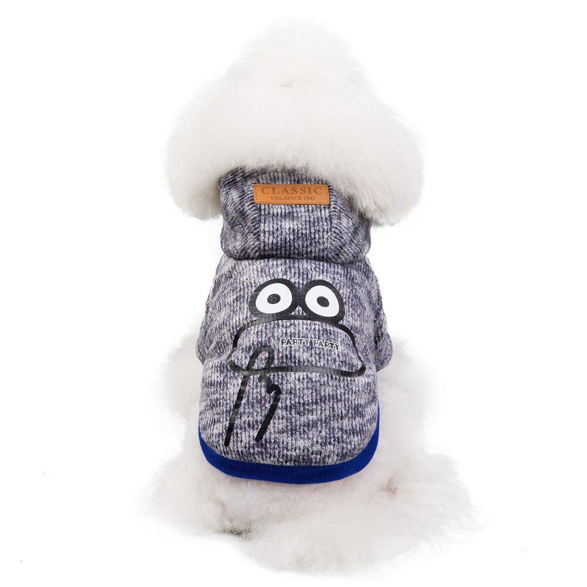 Teddy dog clothes