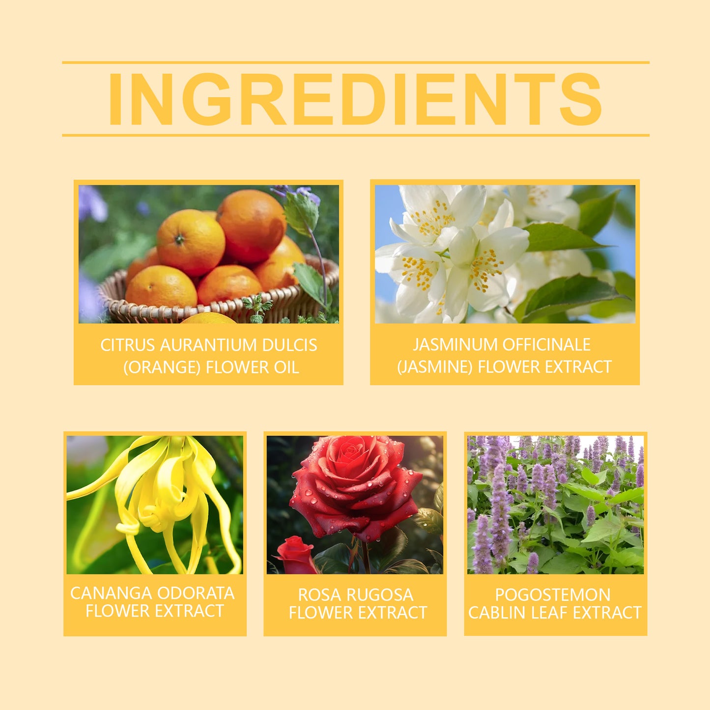 Femmebot Pherowomen Perfume, Light Elegant Exudes Fresh Niche Lovers Dating Portable Charm Perfume