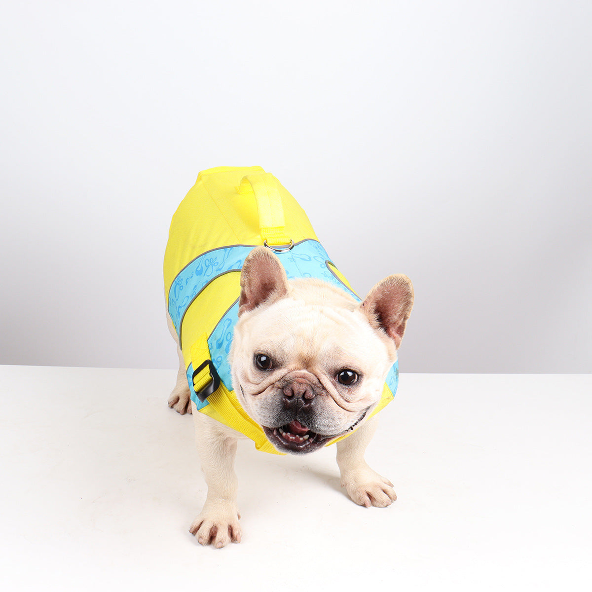 Bright Color Contrast Dog Life Jacket Swimsuit