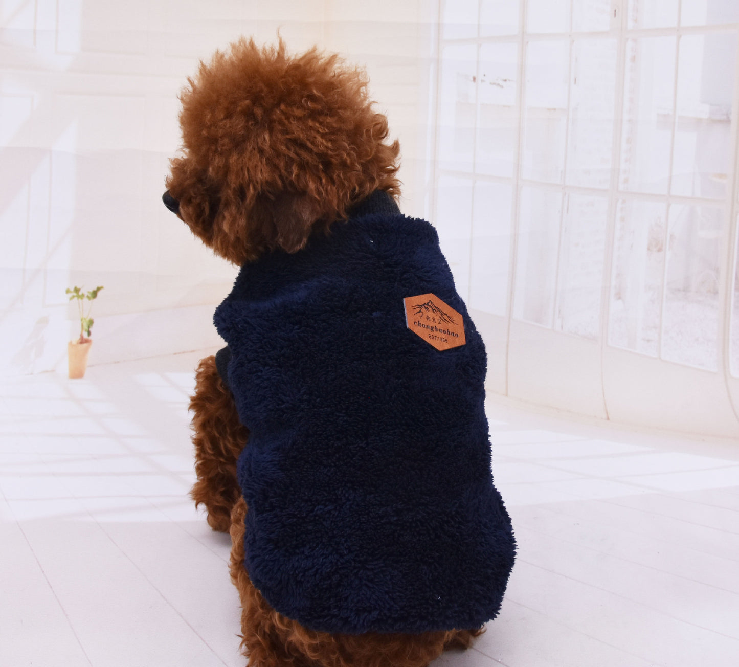 British velvet jacket pet clothes