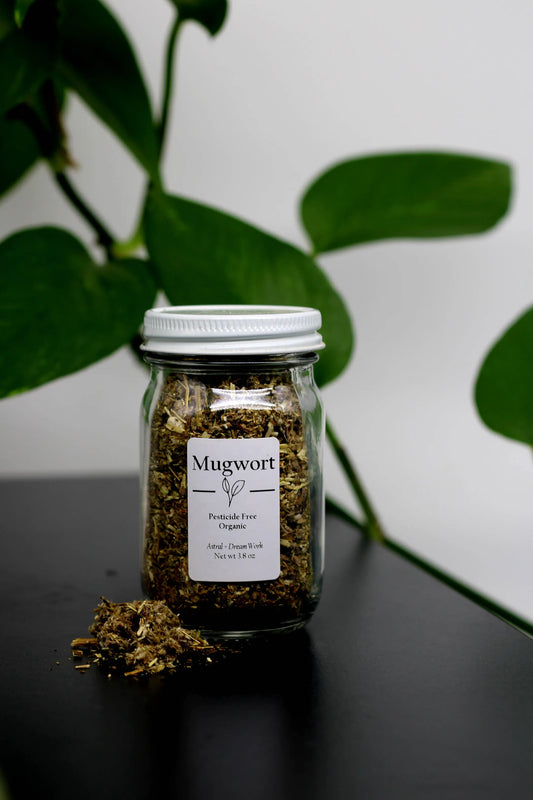 Organic Mugwort