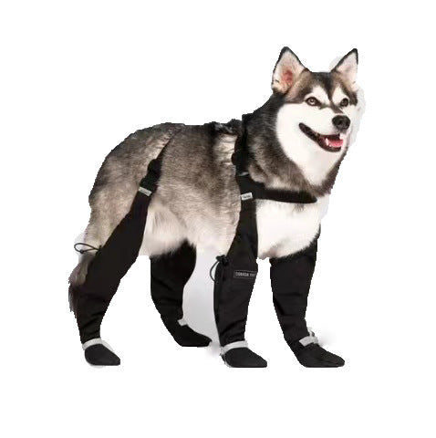 Elastic Belt With Reflective Pet Shoes Waterproof