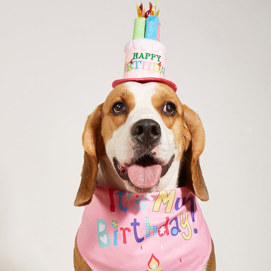 Creative Printing Dog Triangular Binder Birthday Saliva Towel Accessories