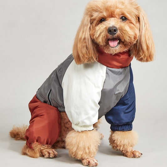 Pet Winter Color Matching Cotton-padded Clothes Dog Medium Large Dog Warm And Comfortable