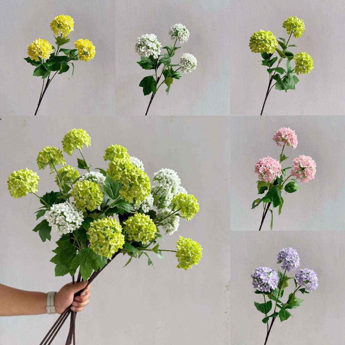 Flowers Hydrangeas SnowballsSmall  Home Furnishings