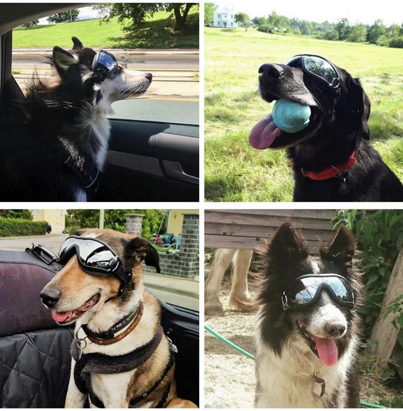 Pet Waterproof Windproof Sunscreen And UV Protection Glasses