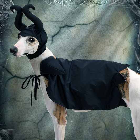 Halloween Dog Cloak With Hat Pet Clothing
