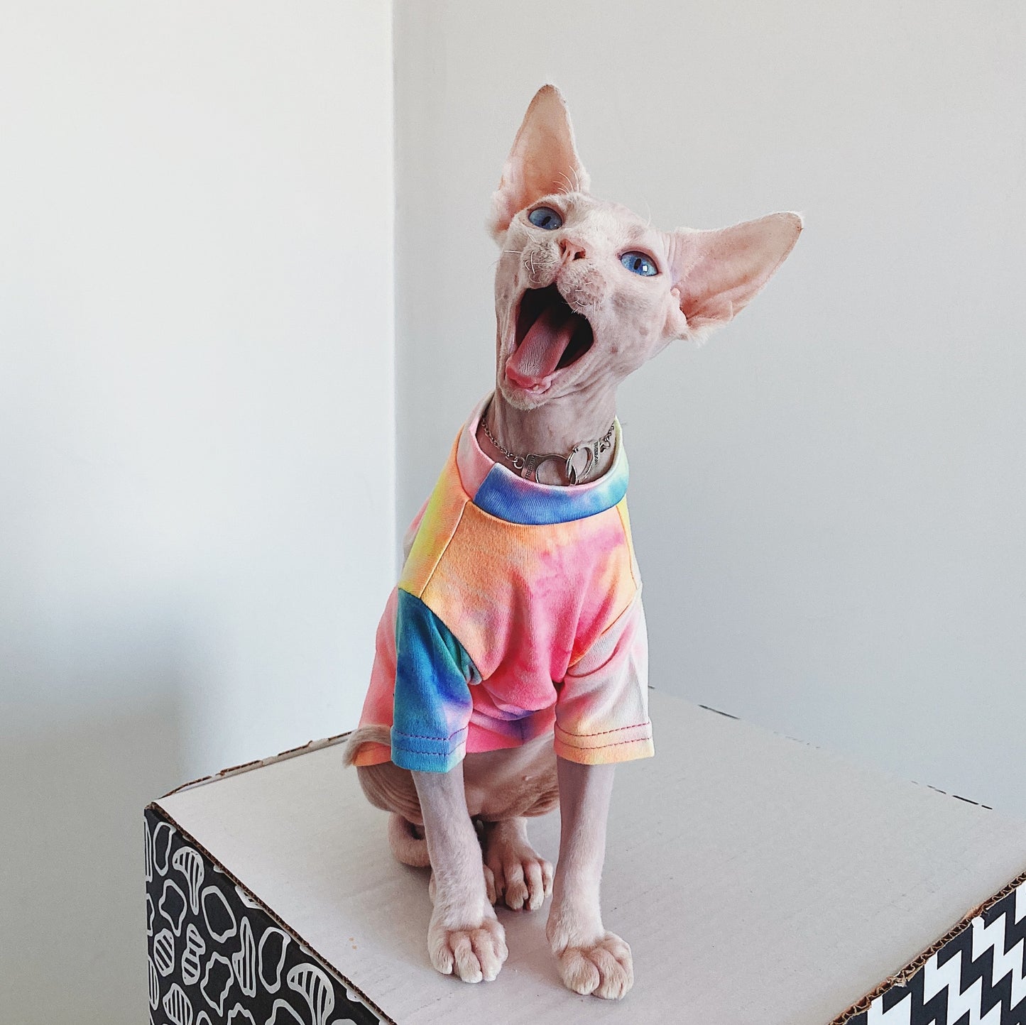 Hairless Cat Clothes Tie-dye Rainbow Primer
