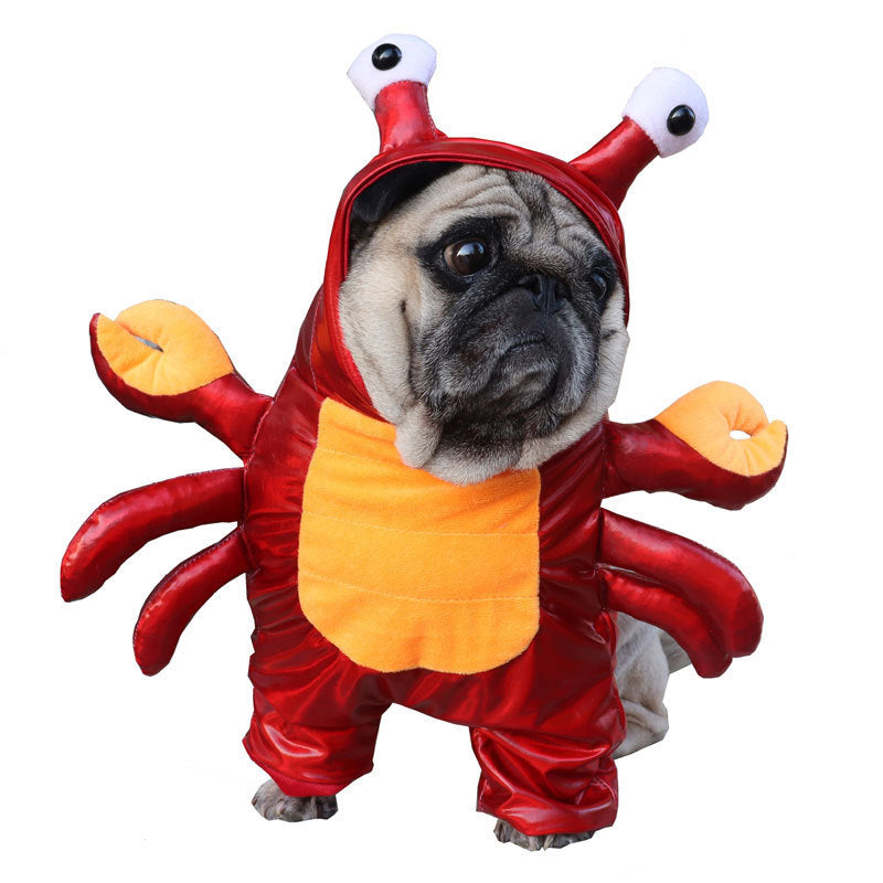 Turn Into A Cat And Dog Costume For Halloween