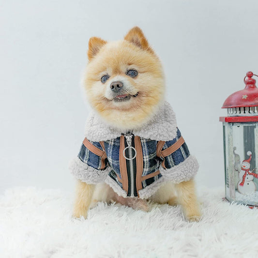 Pet Two Legged Clothes Autumn And Winter Plaid Warm Lamb Velvet