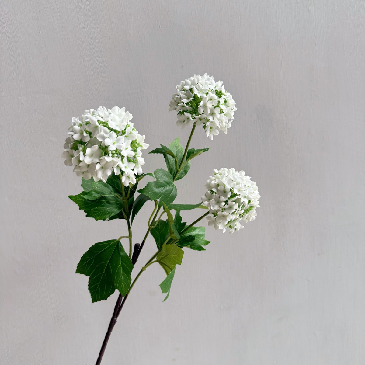 Flowers Hydrangeas SnowballsSmall  Home Furnishings