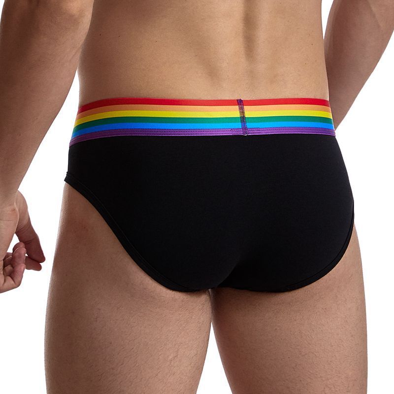 Rainbow Briefs Low Waist Sexy Pure Color Cotton Breathable And Transparent Men