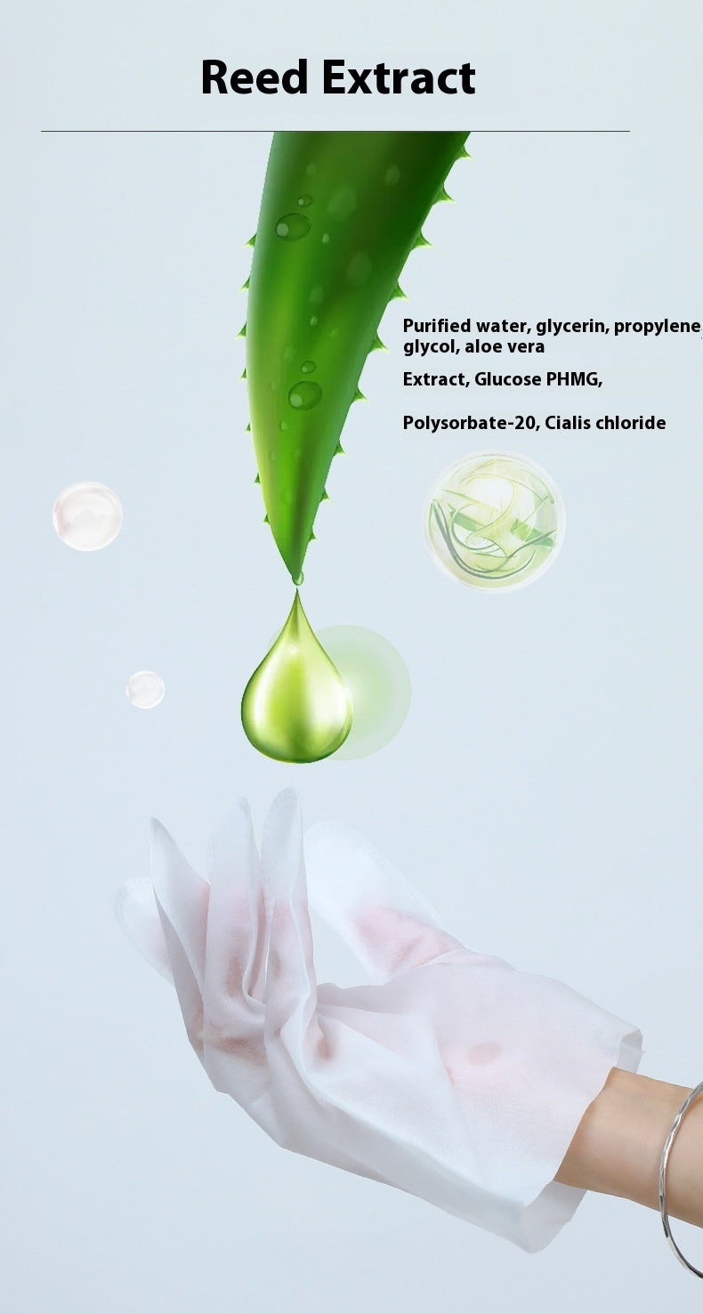 Dry Cleaning Disinfecting Paper Deodorant Pet Supplies Pet Disposable Gloves