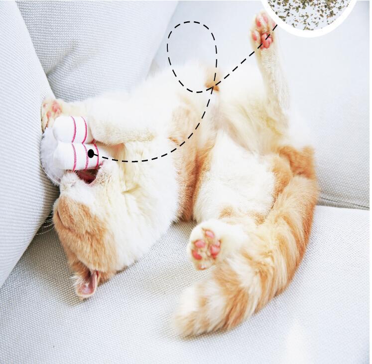 Sushi Catnip Toy Self-hey Relieves Boredom And Bite-resistant Pet Supplies