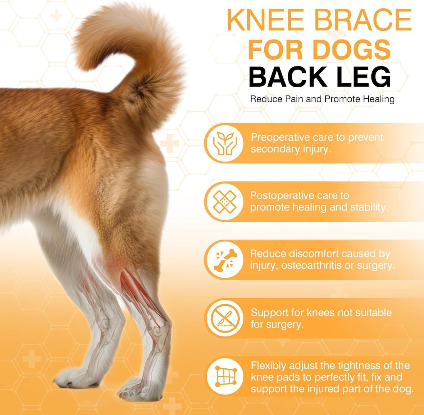 Leg Protector For Dogs Knee Brace Auxiliary Belt Joint Protection Pet Supplies Great Deal
