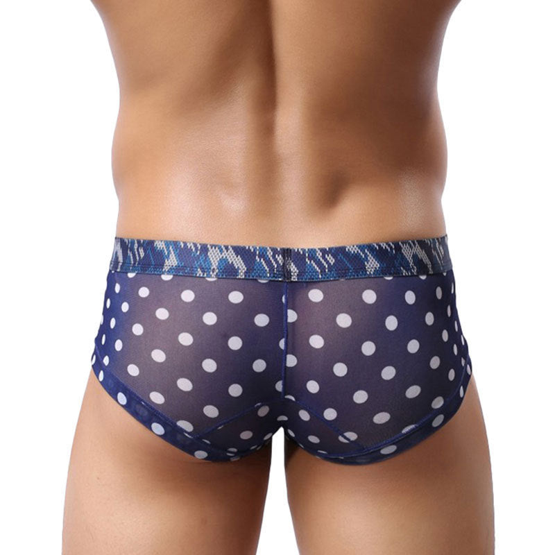 Thin Breathable Mesh Briefs Boys Low Waist Sexy Shorts