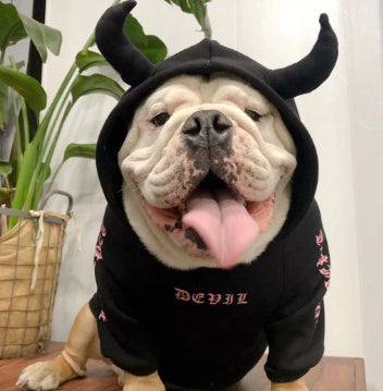 Pet clothes halloween plus fleece sweater