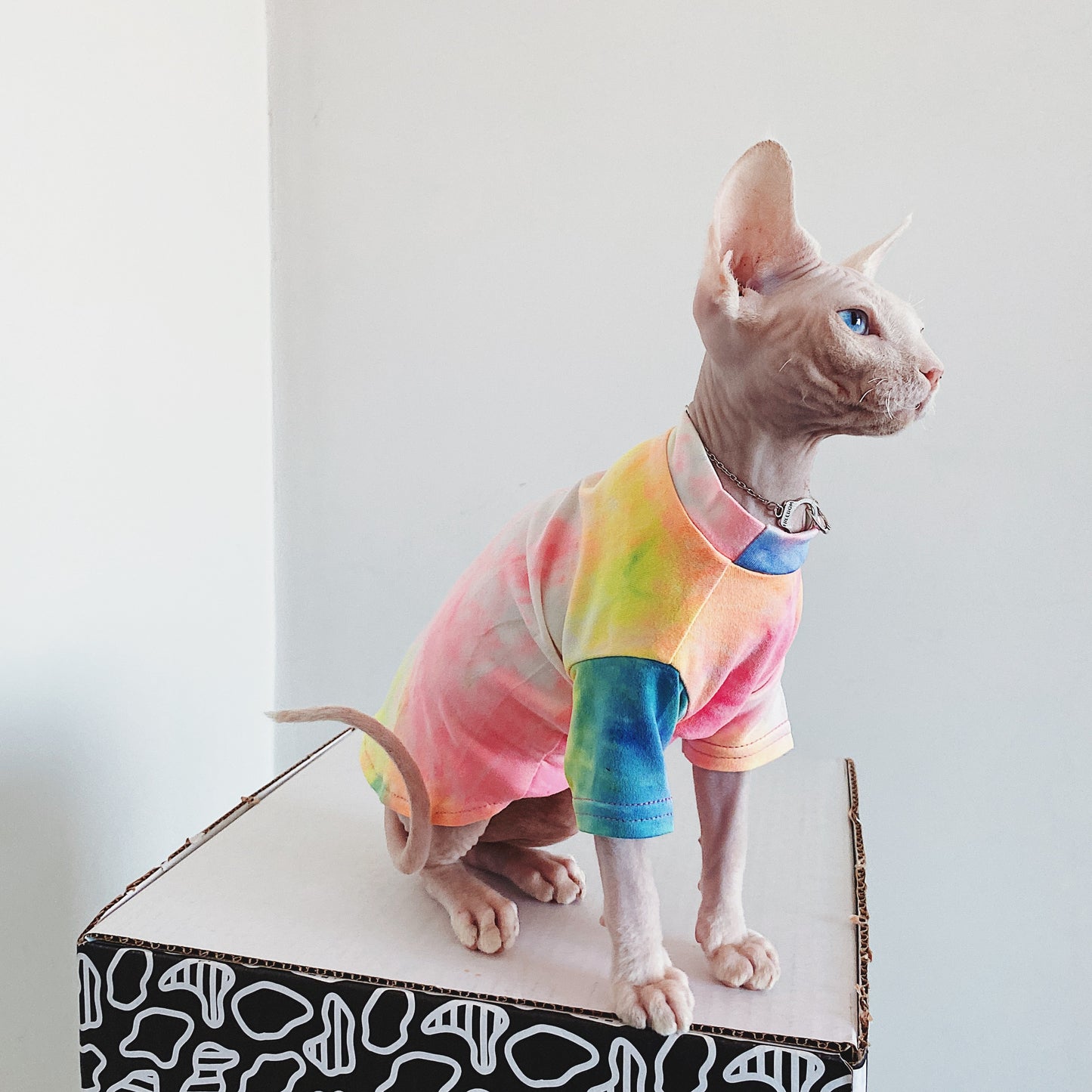 Hairless Cat Clothes Tie-dye Rainbow Primer