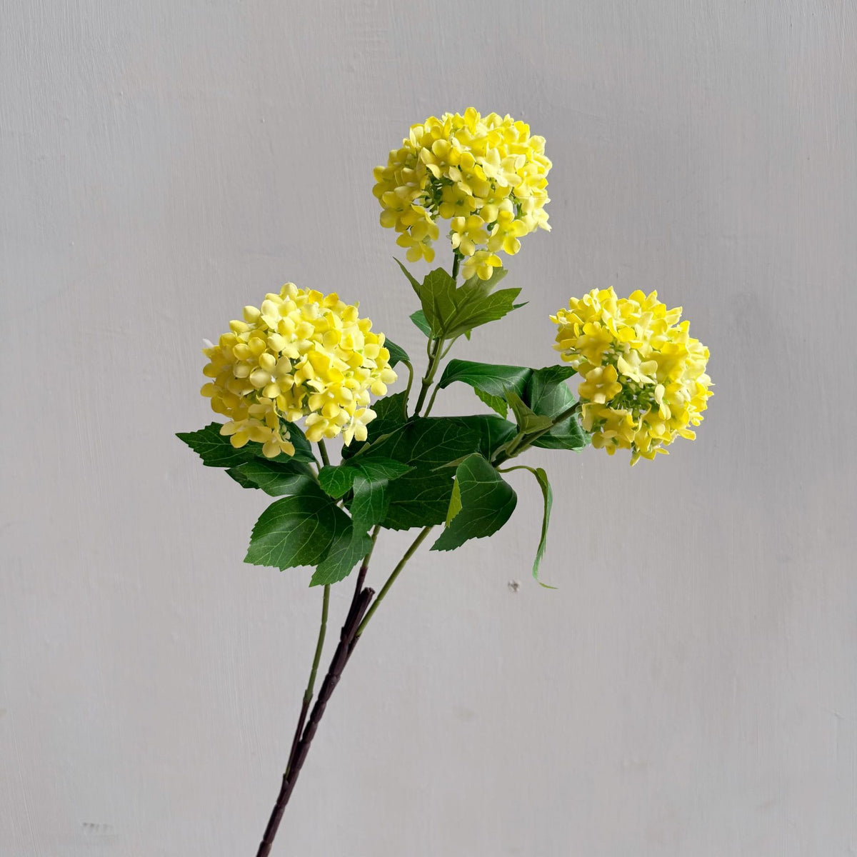 Flowers Hydrangeas SnowballsSmall  Home Furnishings