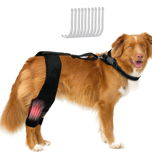 Leg Protector For Dogs Knee Brace Auxiliary Belt Joint Protection Pet Supplies Great Deal