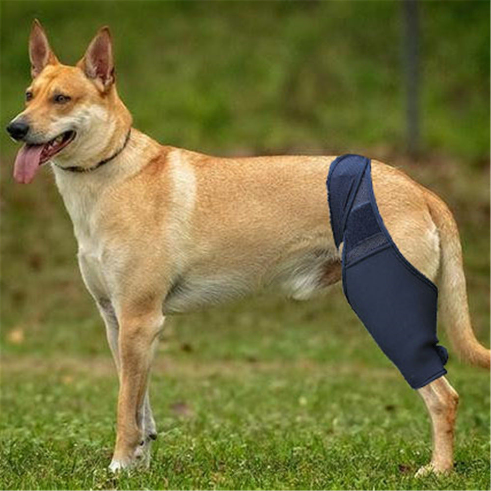 Pet Dog Front And Rear Leg Fracture Fixed Protective Gear