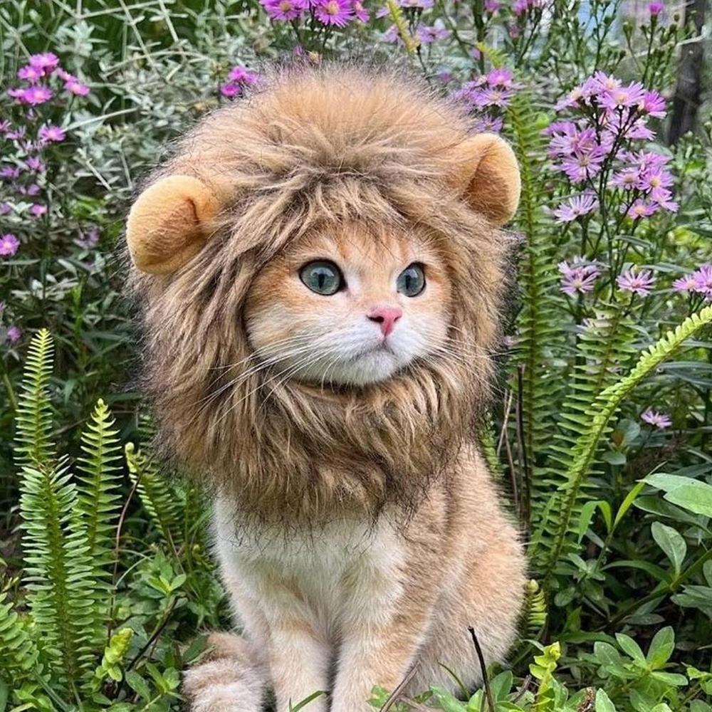 Pet Cat Decor Accessories Lion Wig Fancy Hair Caps Pet Supplies Cute Lion Headgear Cat Hat Mane Wig For Dogs And Cat Small Dog