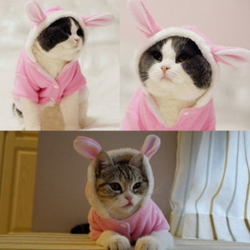 Pet Cat Clothes Mascotas Costume Clothes For Pet Hoodies Cute Rabbit Cat Clothing Puppy Fleece Warm Pet Cat Jacket