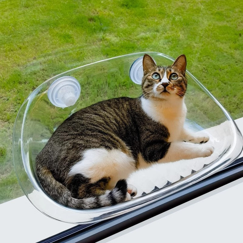 Summer Suction Cup Window Glass Hanging Suspension Cat Hammock