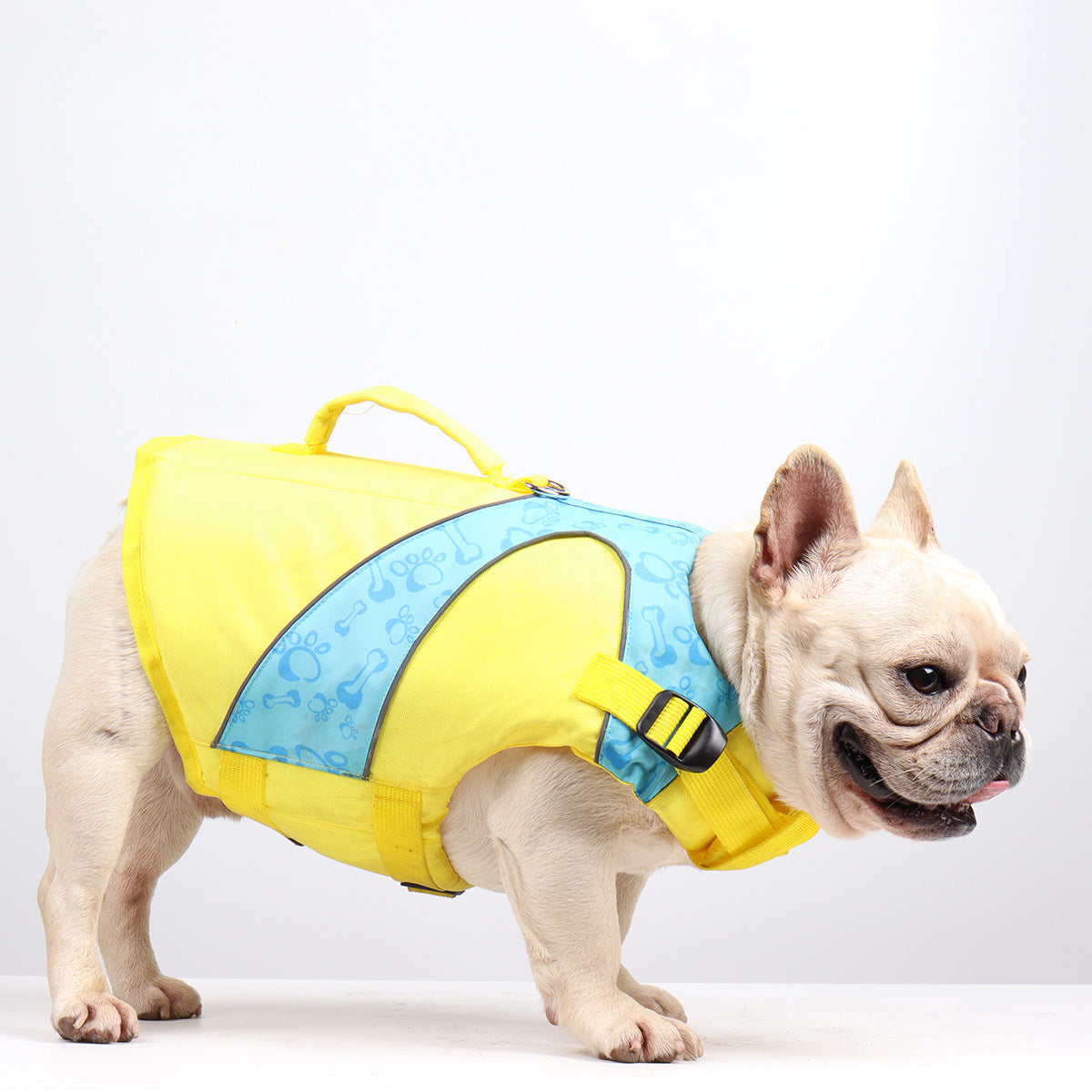 Bright Color Contrast Dog Life Jacket Swimsuit