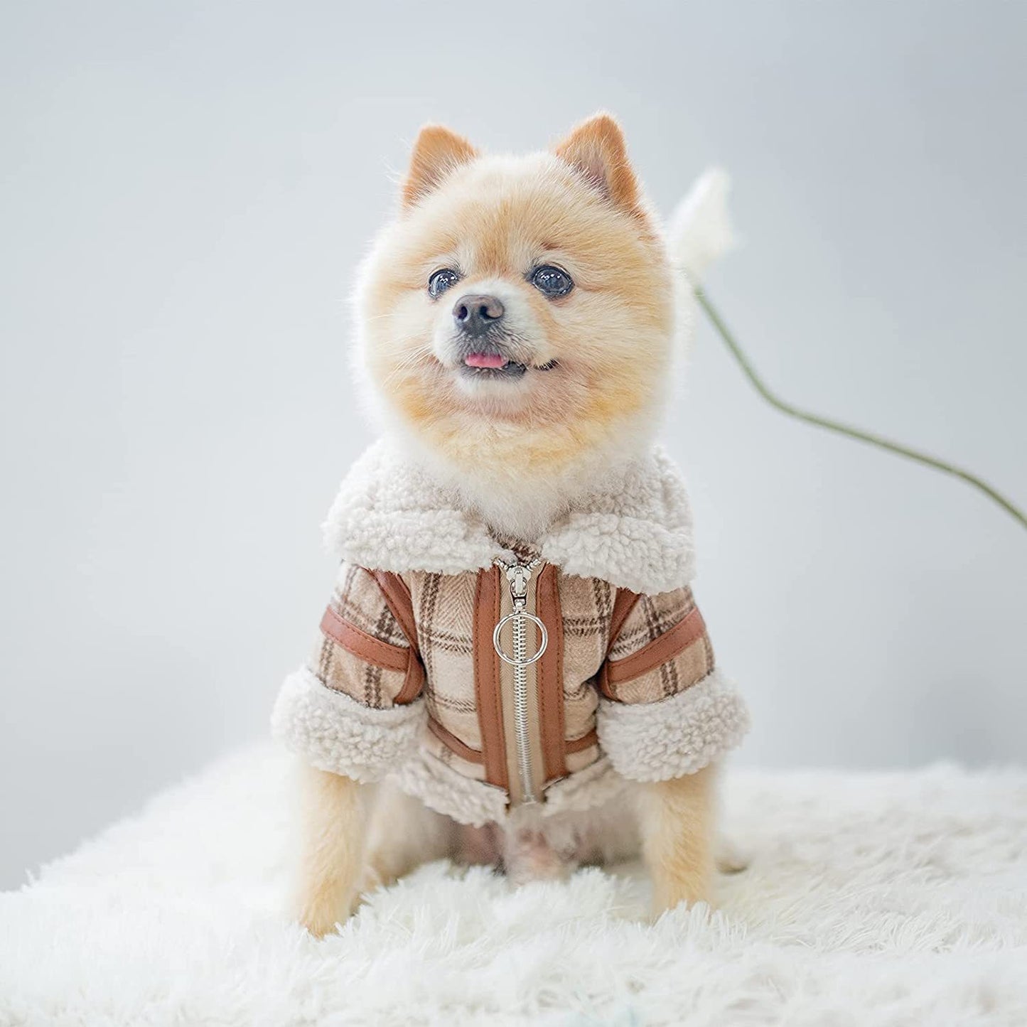 Pet Two Legged Clothes Autumn And Winter Plaid Warm Lamb Velvet
