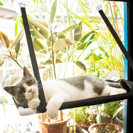 Four Seasons Cat Hammock Window Cat Nest Sucker Hanging