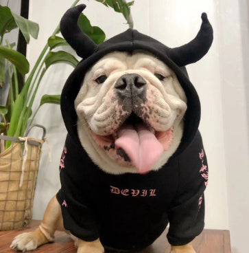 Pet clothes halloween plus fleece sweater