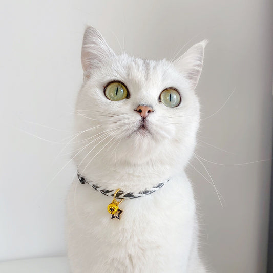 Pentagram Geometry Striped Bell Adjustable Pet Collar