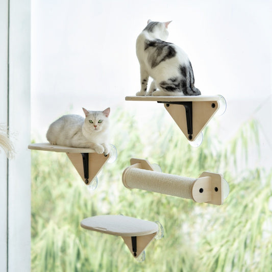 Meow Hu Wang Is Also Cat Scratch Trees Not Covering An Area Of Glass Wall