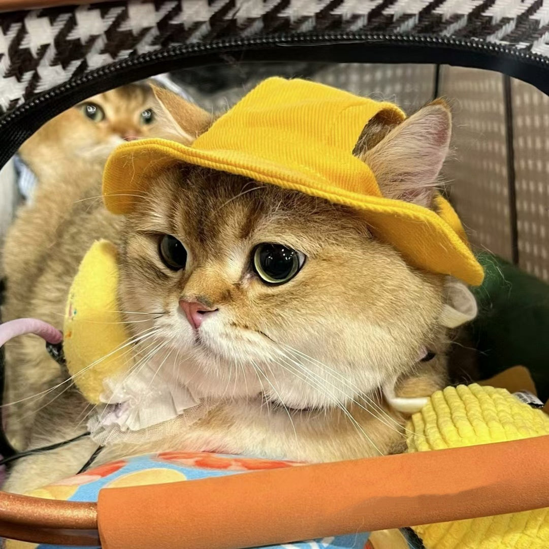 Cat Dog Sun Hat Exposed Ears Pet Bucket Hat